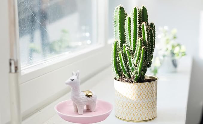 ROSA&ROSE Cat Ring Holder Trinket Tray Ceramic Jewelry Dish Porcelain Ring OrganizerâGift for Women,Girlfriend,Wife,Birthday or Anniversary (Multi)
