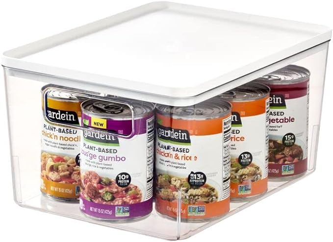 iDesign Pantry Bin with Removable Lid - Plastic Storage Bin with Handles - Clear/White