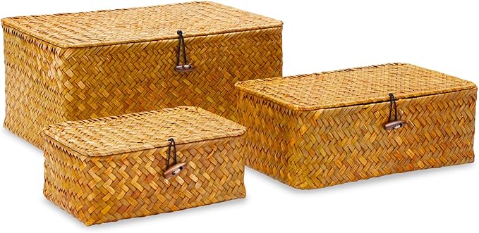 Wicker Storage Box with Lid, Handwoven Baskets for Storage, Rectangle Decorative Baskets Bins Container for Shelf Organizing Home, Set of 3, Natural