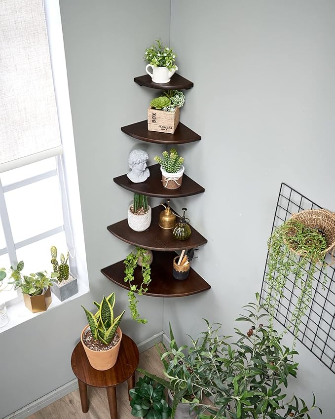 Corner Shelf,12inch Walnut Solid Wood Floating Corner Shelves Wall Mount Round End Floating Speaker Rack with Wire Hole for Small Plant for Bedroom Kitchen