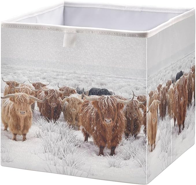 linqin Scottish Highland Cow Print Cube Storage Basket Collapsible Open Storage Bins Baby Nursery Basket Organizer with Handles for Shelves Closet Home Decor