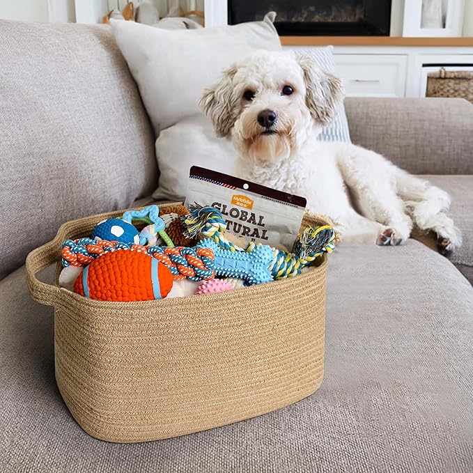 Wicker Basket for Storage, 15"x11"x9" Woven Basket with Handle, Rectangular Cute Storage Bin for Books, Shoes, Clothes, Towels, Decorative Gift Bin Empty, Stuffed Animal Organizer, Home Decor