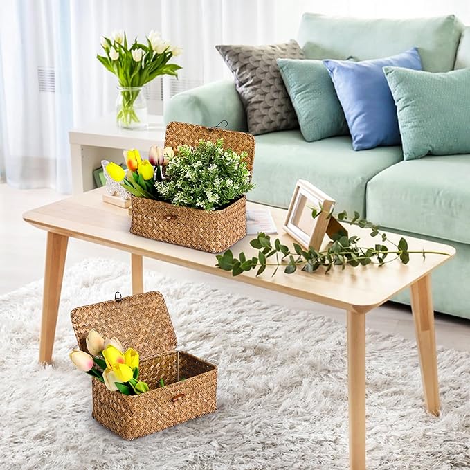 Natural Seagrass Storage Baskets with Lid,Multipurpose Home Organizer Bins Boxes for Shelf Organizer,Decorative Storage Bins