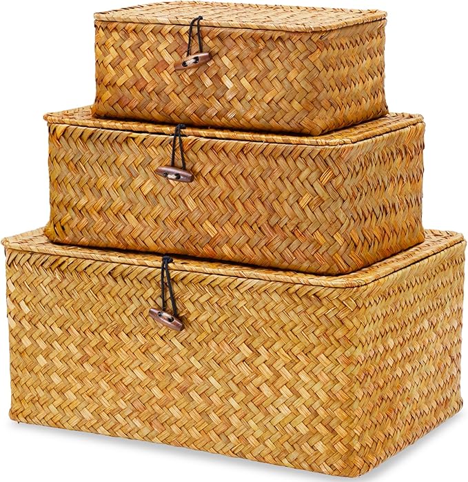 Wicker Storage Box with Lid, Handwoven Baskets for Storage, Rectangle Decorative Baskets Bins Container for Shelf Organizing Home, Set of 3, Natural