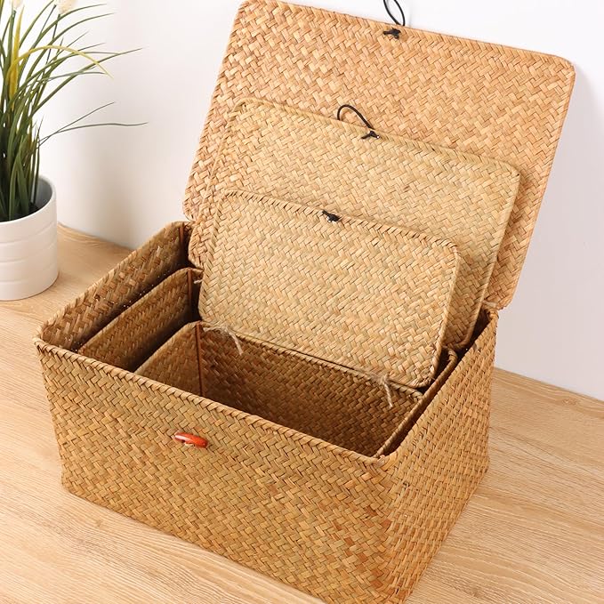 Wicker Shelf Baskets with Lid,Natural Seagrass Storage Basket Boxes Handwoven Rectangular Baskets Bins Multipurpose Home Organizer Decor (Large)