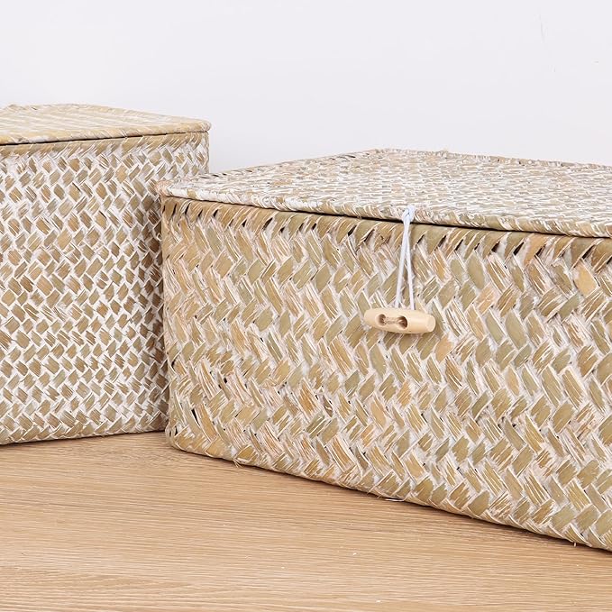 FEIALNDUO Wicker Shelf Baskets with Lid,Seagrass Storage Basket Bins Rectangular Handwoven Basket Boxes for Shelves Desktop Home Organizer (Whitewash, Large)